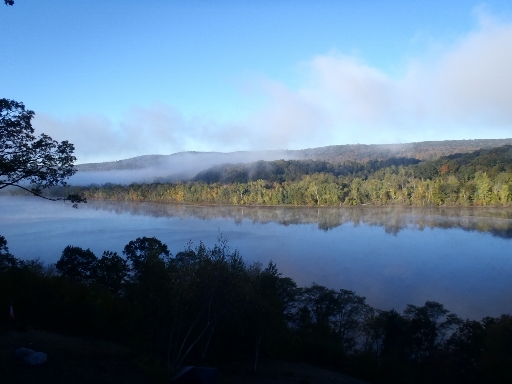 samsung phone 297 (1024x768).jpg